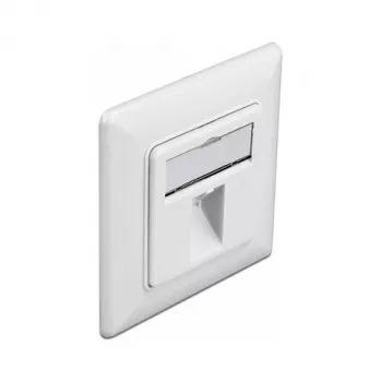 Sieninis lizdas Keystone 1 prievadas DeLOCK 86981