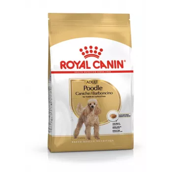 Sausas šunų ėdalas Royal Canin Poodle Adult 1,5 kg — vištiena, 30 % baltymų, 19 % riebalų