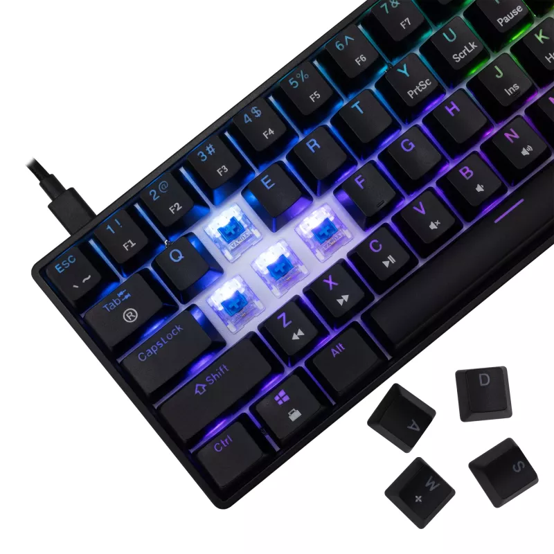 Mechaninė klaviatūra White Shark Shinobi-2 mėlyni jungikliai juoda JAV išdėstymas