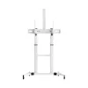 Sbox FS-3610 Grindinis stovas itin dideliam LED televizoriui 60-100 colių 100 kg baltas