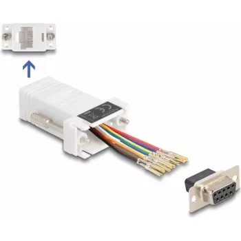 DeLOCK D-Sub 9 kontaktų moteriškas į RJ45 moterišką surinkimo rinkinys baltas VGA RJ-45