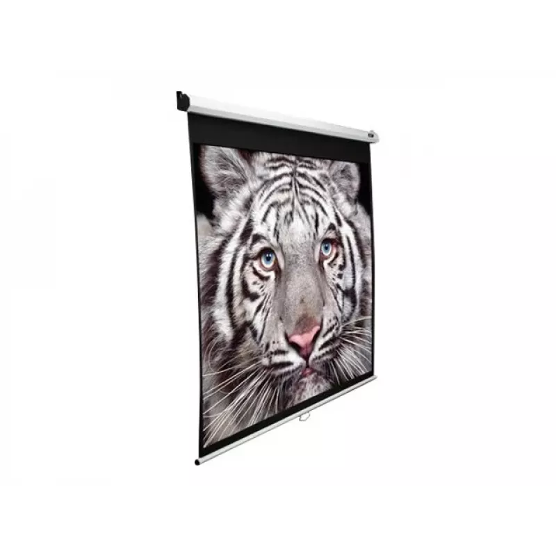 Projekcinis ekranas Elite Screens M150XWH2 3,81 m 16:9