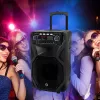 Nešiojama karaoke kolonėlė MANTA SPK5021PRO 80W RMS, 12 col. žemų dažnių garsiakalbis, Bluetooth, baterija iki 5 val., SD/USB, mikrofono ir gitaros įėjimai