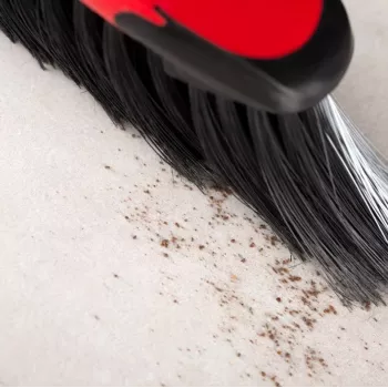 Pripildomas šluotražis Vileda Classica 2w1