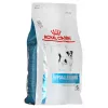 Sausas šunų ėdalas Royal Canin Hypoallergenic Small Breed 3,5 kg – suaugusiems mažiems šunims, baltymai 24%, riebalai 16%