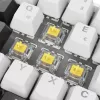 Klaviatūra Sharkoon SGK50 S4 60% balta RGB LED QWERTZ vokiškas išdėstymas USB