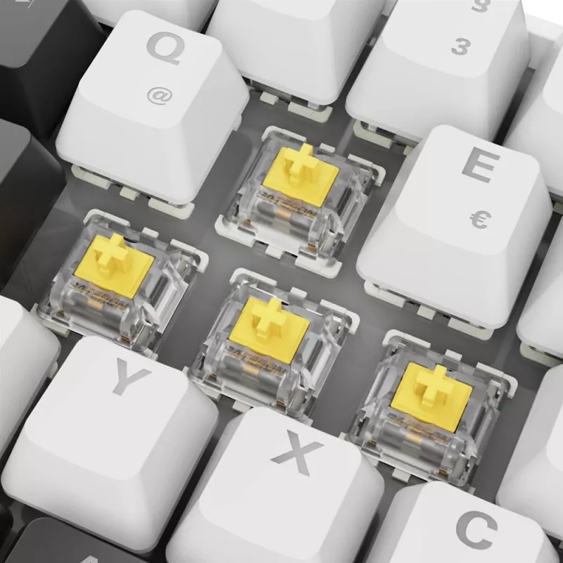Klaviatūra Sharkoon SGK50 S4 60% balta RGB LED QWERTZ vokiškas išdėstymas USB