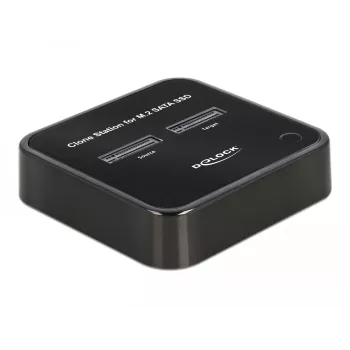 DeLOCK 64178 Docking stotelė USB 3.2 Gen 2 Type-C dviems M.2 SATA SSD