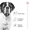 ROYAL CANIN Giant Adult – sausas šunų ėdalas – 15 kg