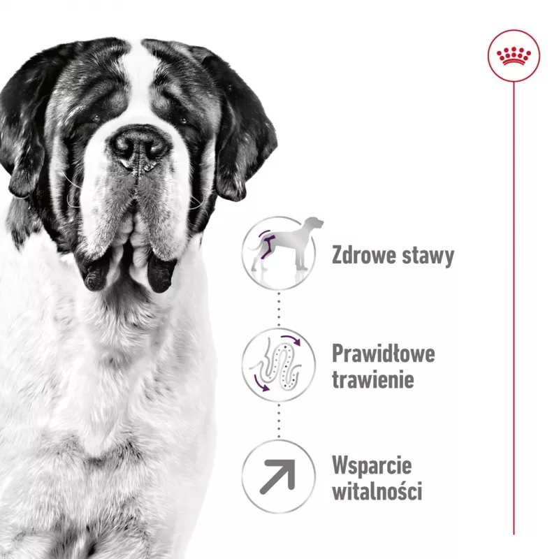 ROYAL CANIN Giant Adult – sausas šunų ėdalas – 15 kg