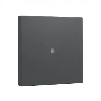 Gira System 55 rokerinis dangtelis antracitas (329028)