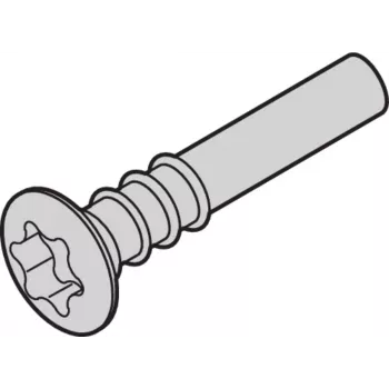 SCHROFF Torx varžtas su lęšine galvute - NTS LISESHR TORX3.0X20 100 vnt. (24812501)