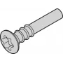 SCHROFF Torx varžtas su lęšine galvute - NTS LISESHR TORX3.0X20 100 vnt. (24812501)