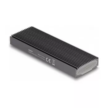 DeLOCK išorinis USB Type-C dėklas M.2 NVMe PCIe arba SATA SSD, be įrankių