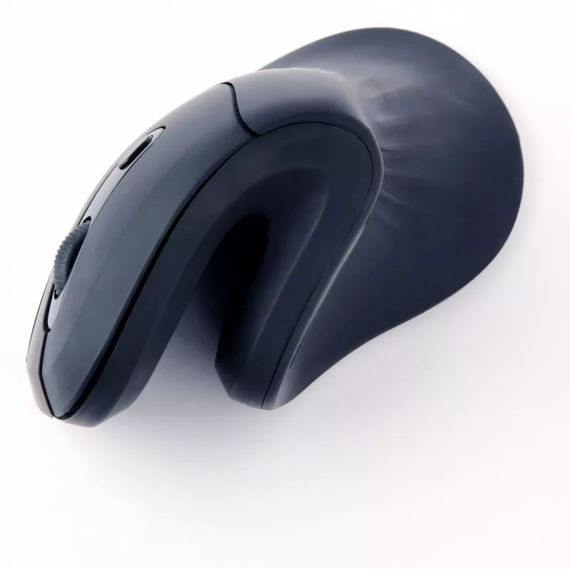 Gembird MUSW-ERGO-03 pelė Home Dešinei rankai RF Belaidė Optinė 1600 DPI