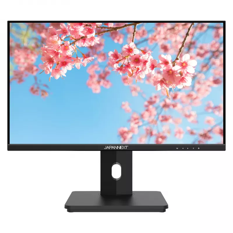 Japannext JN-I215FLFHSP-C65W 21,5 colio Full HD LCD monitorius