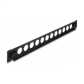 Patch panel Delock 19 colių D tipo 12 prievadų be įrankių juodas