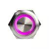 Vandalizmui atsparus mygtukas DimasTech PD197 25 mm Silverline žiedas