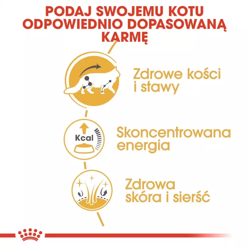 ROYAL CANIN FBN Maine Coon - Šlapias ėdalas katėms - paketėlis 12x 85g