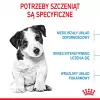 Royal Canin Mini Puppy SHN sausas šunų maistas 2 kg