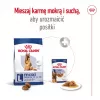 Sausas šunų ėdalas Royal Canin Maxi Adult 5+ 15 kg – vištiena