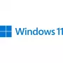 Microsoft Windows 11 Pro 64-bit ispanų kalba (FQC-10552)