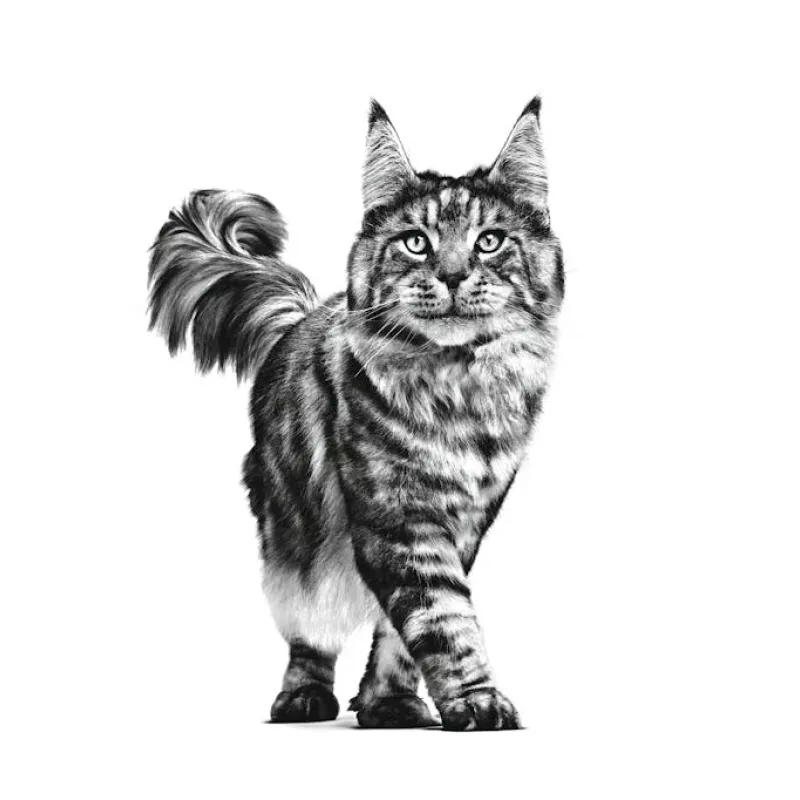 ROYAL CANIN Cat Gastrointestinal VHN - sausi kačių ėdalai - 400g