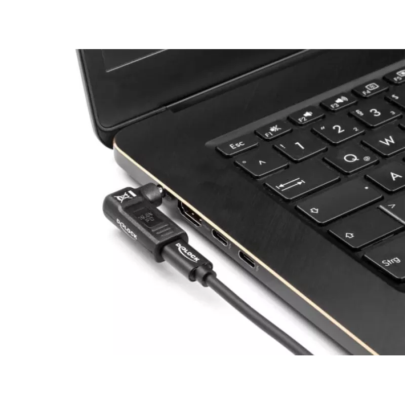 Adapteris DeLOCK USB Type-C moteriškas į HP 4,8 x 1,7 mm vyriškas 90° kampu