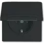 Busch-jaeger 2CKA002064A0295 juodas