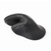 Gembird MUSW-ERGO-03 pelė Home Dešinei rankai RF Belaidė Optinė 1600 DPI