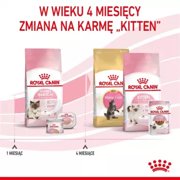 Sausas kačių ėdalas Royal Canin Mother & Babycat 2 kg – vištiena, nėščioms, žindančioms katėms ir kačiukams