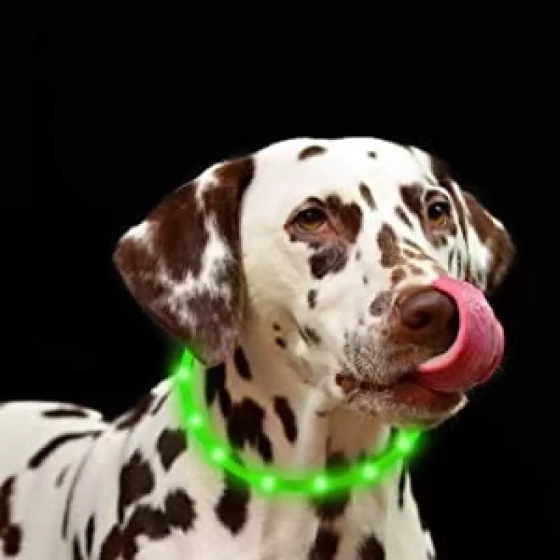LED antkaklis Anicoll Green šunims ir katėms įkraunamas modelis