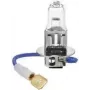 Halogeninė lemputė IWH H3 55W 12V IWH 019353 – vieno spindulio automobilinė lempa