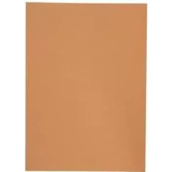 Elba 100091654 kartono segtuvas dokumentams Orange A4 (100091654)