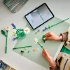 LEGO BOTANICALS 11508 Ramunės
