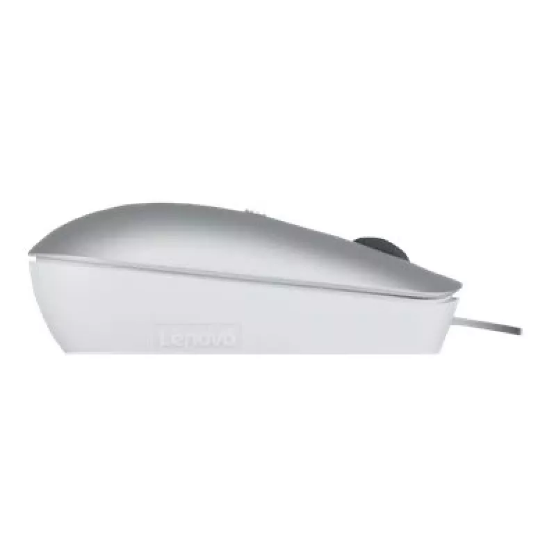 Laidinė optinė ambidekstrinė pelė Lenovo 540 USB Type-C, 3 DPI režimai, pilka, 4 mygtukai, 1,8 m laidas