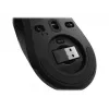 Lenovo Legion M600 Belaidė žaidimų pelė Ambidekstrinė RF belaidis + Bluetooth + USB Type-A Optinė 16000 DPI