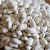 Sėklų pakuotė Seklos LT PNOS — pupelės 'Igłomska' sėklos, 50 g
