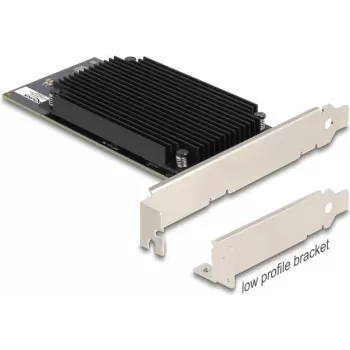 DELOCK Application Accelerator PCIe 3.0 x8 plokštė modelis 31416