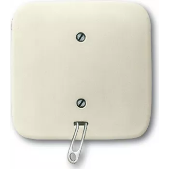 Busch Jaeger 2CKA001315A0191 Elektrinis jungiklis su grandinėle baltas