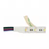 Synergy 21 LED Flex Strip 5050 - 60 RGB DC24V + RGB-W vienos lusto NW IP68