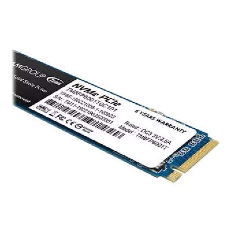 SSD diskas Team Group 1 TB M.2 PCI Express 3.0 NVMe MP33