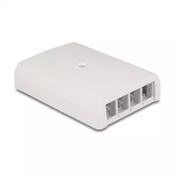 DeLOCK 67053 Sieninė 4 prievadų keystone dėžutė, balta