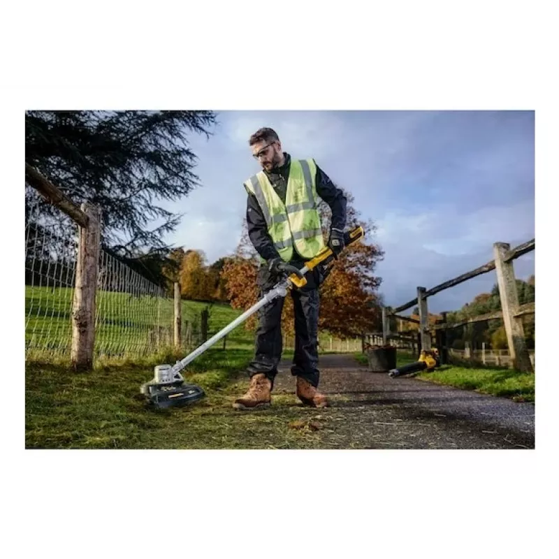 DeWALT DCMST561P1-QW vejapjovė