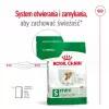 ROYAL CANIN Mini Ageing Adult +12 – sausas šunų ėdalas – 3,5 kg