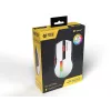 Pelė Tracer 47417 Gamezone Cool White RGB USB