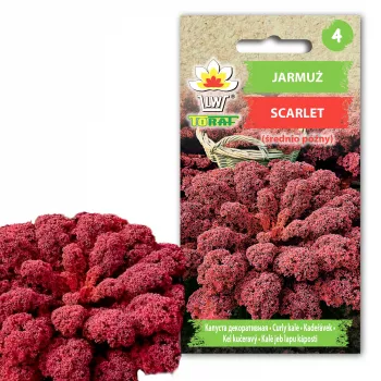 Scarlet Toraf kopūstų sėklos, 1g pakuotė