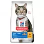 HILL'S SP Adult Oral Care Chicken - sausas kačių ėdalas - 1,5 kg