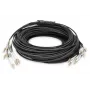 Breakout laidas Digitus DK-2433CU030BK-BBB 30m OM4 12 pluoštų LC/UPC