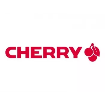 CHERRY G80-1800 klaviatūra universali USB QWERTZ vokiška pilka